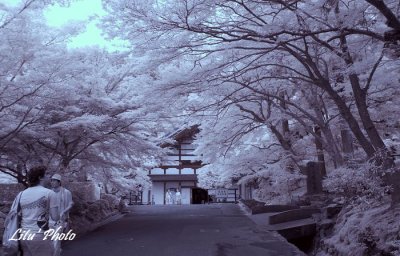 DSC_5274.jpg