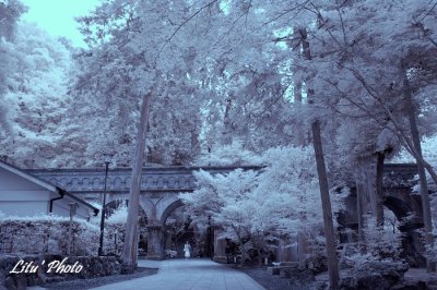 DSC_5284.jpg