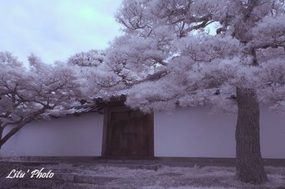 DSC_5301.jpg