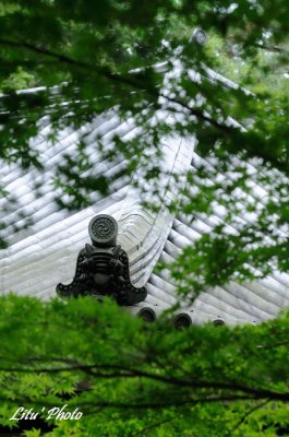 DSC_5392.jpg