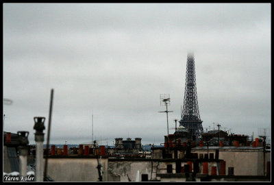 la Tour Eiffel 11.jpg