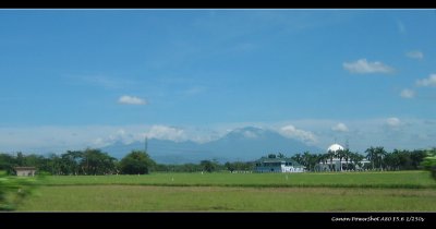IMG_0139.jpg