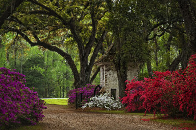 Afton Villa Entry 15.jpg
