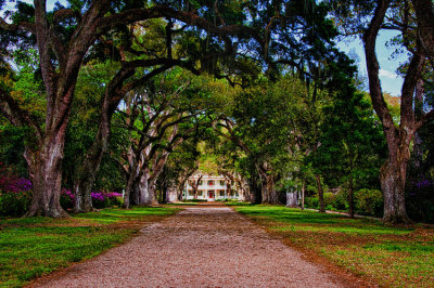 Rosedown 010.jpg