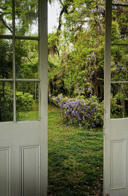 St Francisville Area 05.jpg