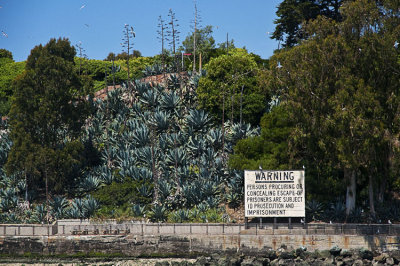 Alcatraz 02.jpg