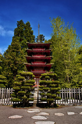 Golden Gate Park Japanese Tea Garden 02.jpg
