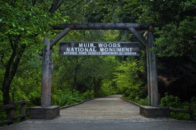 Muir Woods 015.jpg
