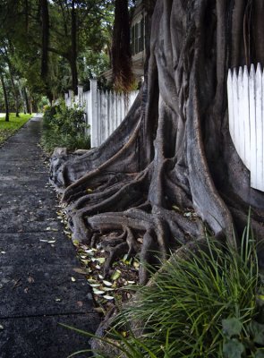 Key West Old Towne 26