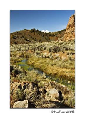 The Bodie Road