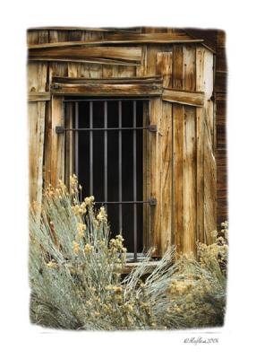 Jail Window