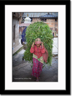 Typical Way of Carrying Load in Nepal