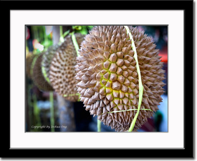 Durian Fruit