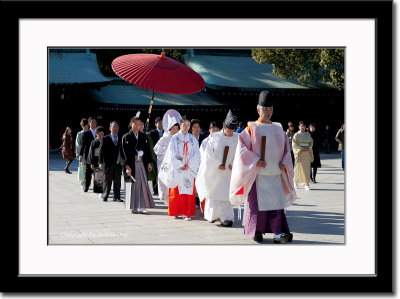 A Shinto Traditional Wedding Procession at Meiji Shrine/Temple