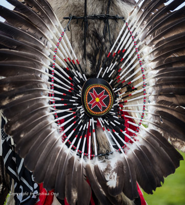 Native American Feather Decoration