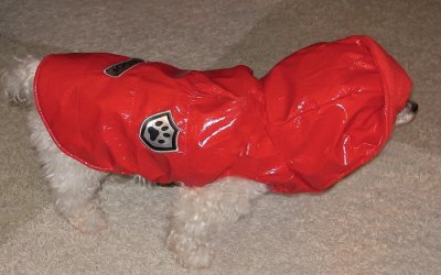 03.2012 Frenchy's raincoat, Canon G12.jpg