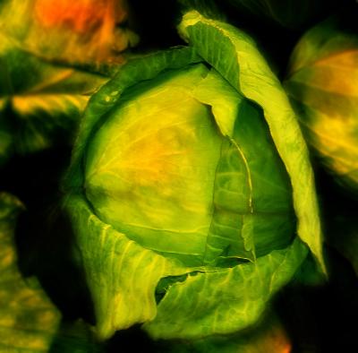 06 23 06  Cabbage, dark dreams filter, Casio Z850.jpg