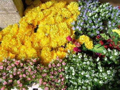 007 Flowers in Al-Salt.jpg