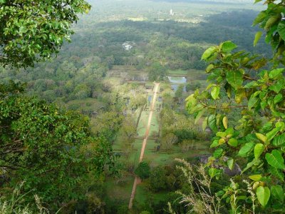 Stunning View From The Top