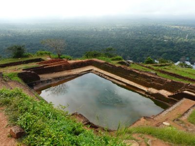 Royal Swimming Pool & Jungle Beyond
