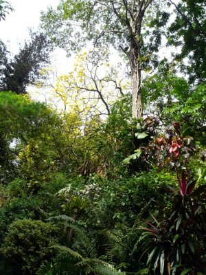Lots Of Interesting Flora & Fauna