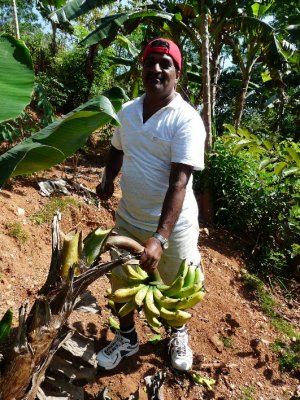 Pathi In His Garden
