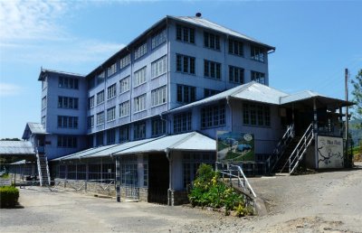 Blue Fields Tea Factory