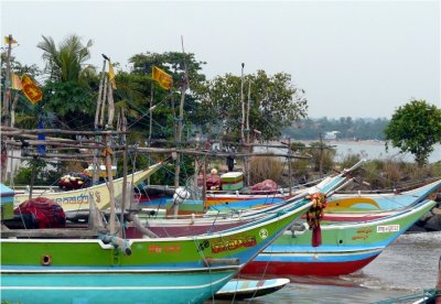 Fishing Boats
