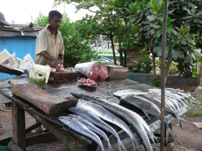 Fishmonger