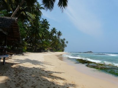 The Beach At Dalawela