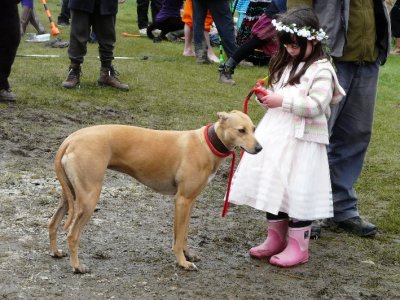 Welcome Back To Canine Friends