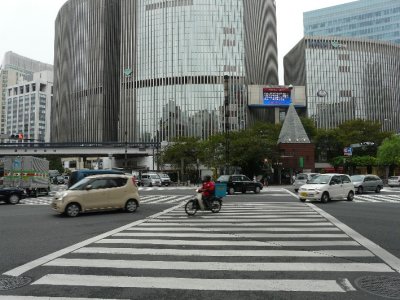 Tokyo Pedestrian Crossing
