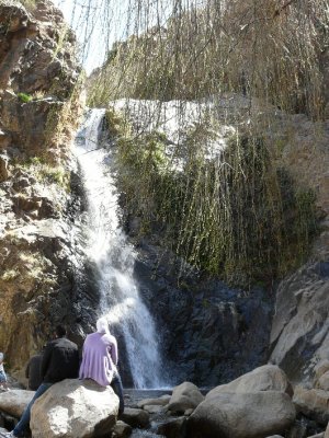To See The Waterfalls