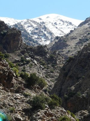 Snowy Peaks