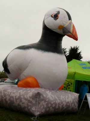 Bouncy Puffin