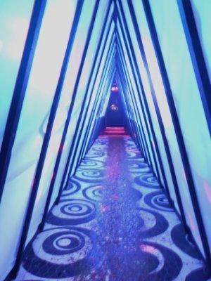 The Psychedelic Corridor To...