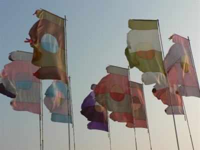 First View Of The Famous WOMAD Flags