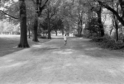 Central Park Jogger