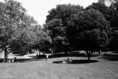 Central Park Picnic