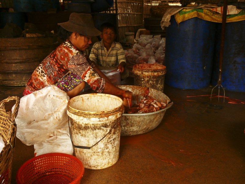 Fish sauce factory Battambang.jpg