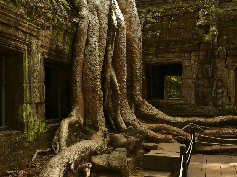 Ta Prohm PM.jpg