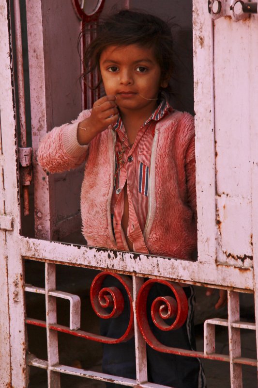 Palanpur peeking 01.jpg