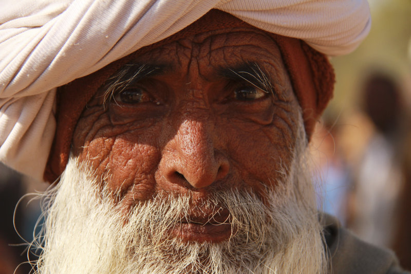 Around Palanpur 12.jpg