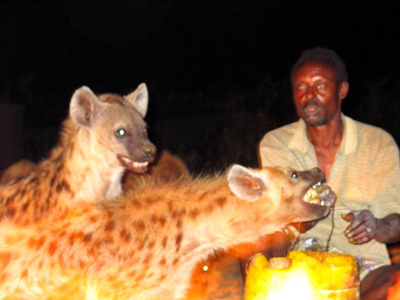 Hyena man