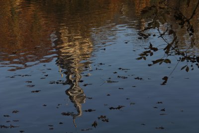 Abbey reflected.jpg