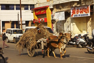 Street in Jamnagar.jpg