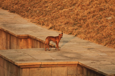 Patan step well 02.jpg