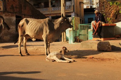 Patan street scene.jpg