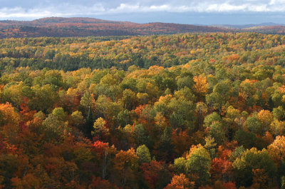 Lookout Trail Top