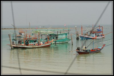 DSC_0009-6.jpg